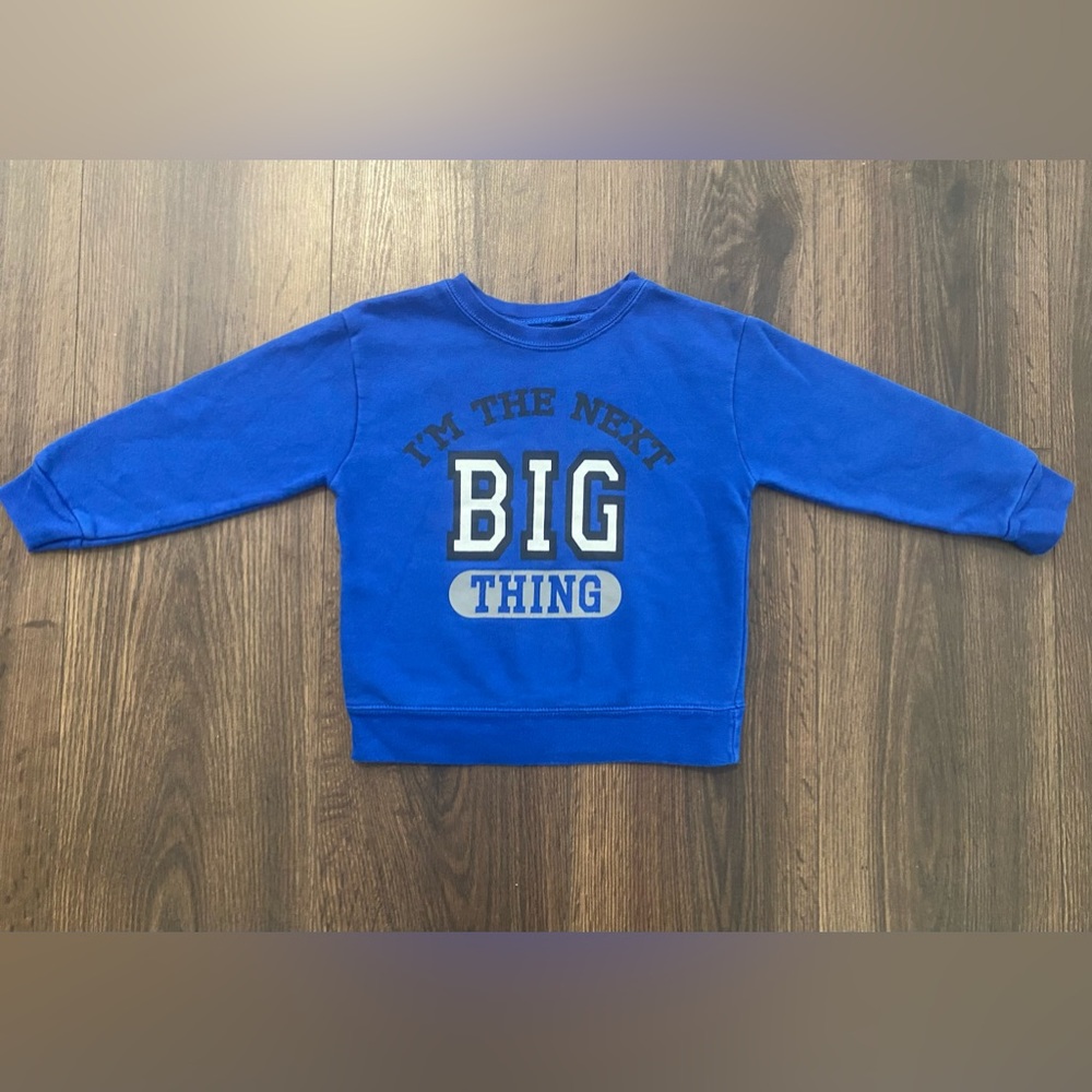 Boy’s Garanimals Blue Graphic Sweatshirt 3T